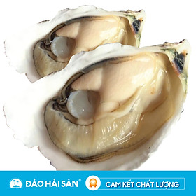 Hàu Sữa Pháp Túi 20 Con