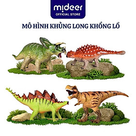 Mô hình khủng long T-rex Spinosaurus cao su cap cấp Mideer Queen sized Simulated Dinosaur - Ankylosaurus