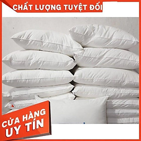 Mua Gối lông vũ tự nhiên size 50x70  45x65  gối mềm mịn tự nhiên  ruột gối lông cao cấp hàng Việt Nam chất lượng cao giá 1sp