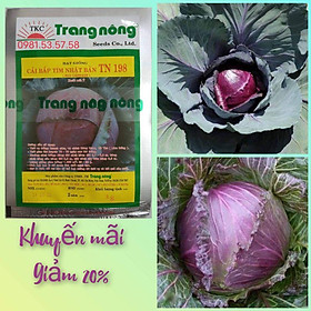 200 Hạt giống bắp cải tím Trang Nông