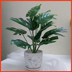 Mua Chậu cây lá rùa nhân tạo cáo 45-50cm trang trí bàn  kệ tủ  giá sách  làm đạo cụ chụp ảnh