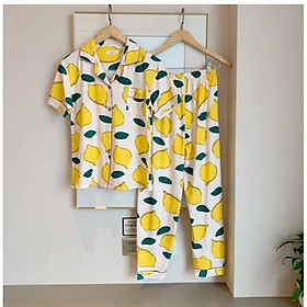 Bộ ngủ Pijama cotton cộc tay