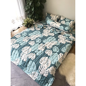 Bộ ga gối chăn hè tặng kèm vỏ gối ôm size 1m6x2m