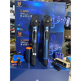 Mua Bộ Micro Không Dây Đa Năng U-WR09