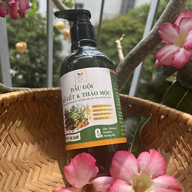 Dầu gội Bồ Kết Thảo Mộc Thiên Nhiên Tâm
