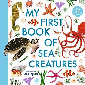 Sách - My First Book of Sea Creatures by Zoe Ingram (UK edition, hardcover)