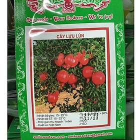 Mua Hạt giống cây ăn trái lựu lùn CT377 - Gói 10 hạt