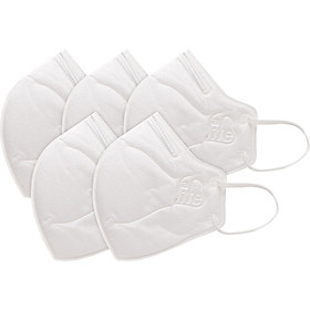 Khẩu Trang Chống Bụi 3D Cao Cấp N96+ (Không Van) Safelife Safemask (Hộp 5 Cái)