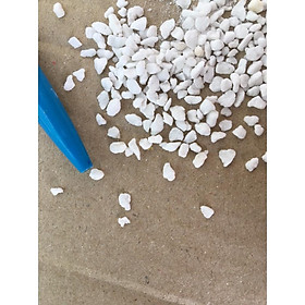 Mua Đá trân Châu trồng hoa lan sen đá cây cảnh 5 lít