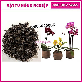 Mua Kẹp bướm cố định hoa lan 50 cái
