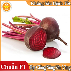 Mua Hạt giống Củ Dền Đỏ ( Gói 2 Gram ) - Nông Sản Vàng
