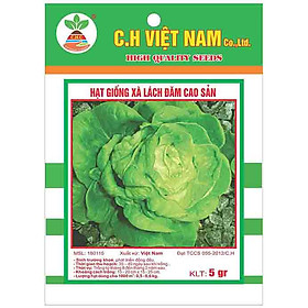 3 Gói Hạt Giống Rau Xà Lách Đăm Cao Sản (5gr/ gói)