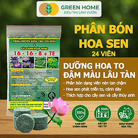 Phân Bón Hoa Sen Greenhome, Vỉ 24 Viên, Cây Thuỷ Sinh, Ngập Nước, Cho Hoa To, Hoa Đậm Màu, Lâu Tàn, Tốt Lá - PHÂN SEN 24 VIÊN