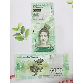 Mua Tờ tiền con rùa 5.000 Venezuela xanh lá -  tặng túi nilon bảo quản tiền