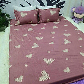 Bộ Ga Gối Poly Cotton Nhiều Mẫu Đẹp