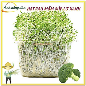 Mua Gói 20g Hạt rau mầm rau súp lơ xanh - hạt chất lượng tốt  nảy mầm đồng đều