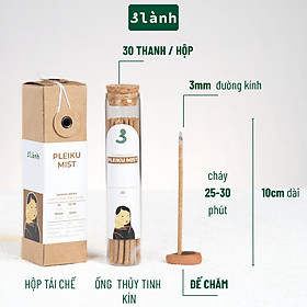 Nhang Thủ Công 3 Lành Hộp 30 Que Nhiều Mùi 100 % Tự Nhiên Tặng Kèm Đế Chăm Không Hóa Chất Xông Thơm