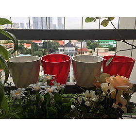 COMBO 20 CHẬU TRỒNG CÂY HOA XOẮN MINI KÍCH THƯỚC 9X9