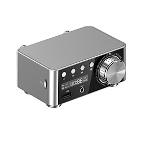 Bộ khuếch đại kỹ thuật số HIFI BT 5.0 Khuếch đại âm thanh nổi công suất nhỏ 100W stereo AMP USB cho gia đình - Màu bạc-Màu Bạc