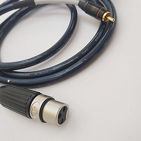 Mua Dây 1 dành cho canon cái ra 2 RCA (AV ) 1.5m cắm vang xuống sub dây Liton (jack cao cấp