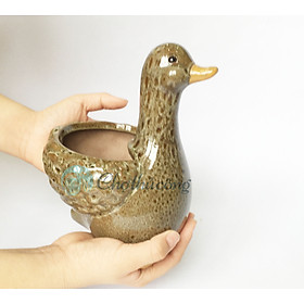 Vịt gốm tráng men - Chậu tượng gốm xinh xắn có lỗ dùng trồng cây, trang trí, decor sân vườn [KT D13xR15xC19cm]