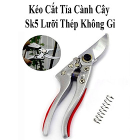 Mua Kéo Cắt Tỉa Cành Cây Sk5 Nhật Bản Sada-210 Lưỡi Thép Không Gỉ Siêu Bén