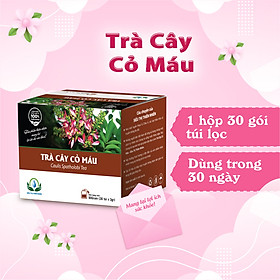 Trà Cây Cỏ Máu Hộp 30 Túi Lọc Của Siêu Thị Thiên Nhiên
