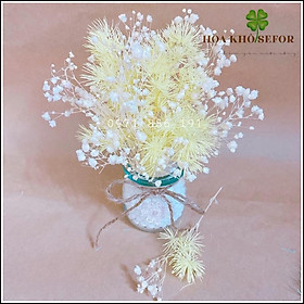 Mua Tùng Nho khô ️ Lọ hoa mini Tùng Nho khô ️ hoa khô trang trí  làm quà tặng  phụ kiện chụp ảnh