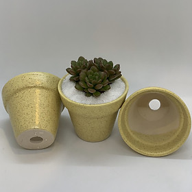 Bộ 3 Chậu Sứ - 7x7x7 Cm - Mầu Be - Dáng Trôn Ốc - Chậu Gốm Bát Tràng Trồng Cây Mini Để Bàn, Tiểu Cảnh Terrarium, Sen Đá & Xương Rồng