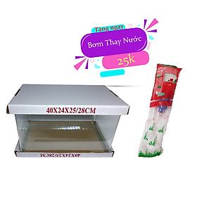 Bể cá mini để bàn kính đúc 40x24x25 cm - hồ cá đúc, hồ cá mini để bàn