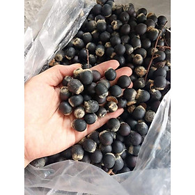 Mua Hạt giống bồ hòn 500 Hạt