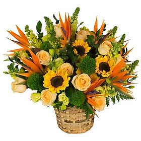 Giỏ hoa tươi - Rừng Vàng 3956
