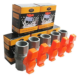 Mua Bộ 5 Van PVC 21 Eurolife EL-V21