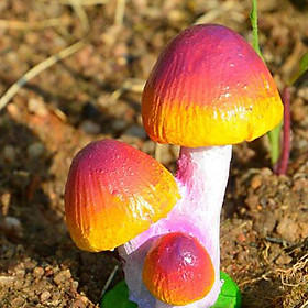 Creative Toy Gifts Resin Craft Miniature Mushroom Figurine Fairy House Ornament Micro Landscape Decor