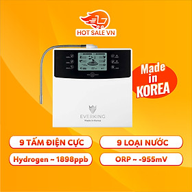 Mua Máy Lọc Nước Điện Giải Ion Kiềm EVERKING EK-99 Hàn Quốc - Hàng nhập khẩu