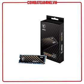 Mua SSD MSI Spatium M371 NVMe PCIe Gen3x4 500GB - Hàng Chính Hãng