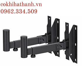 Mua GIÁ TREO LOA FULL BASS 30 CHỊU TẢI ĐẾN 40KG