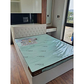 Mua Nệm cao su hoạt tính Thắng Lợi  Đệm cao su tổng hợp có lớp than hoạt tính Hàng Chính hãng