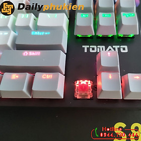 Mua Bàn phím cơ mini Tomato S87 mix màu