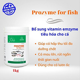 Prozyme for fish new, Men bổ sung vitamin và enzyme tiêu hóa cho Cá, Lươn