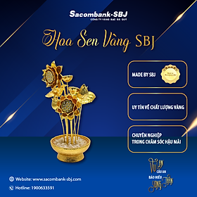 Mua HOA SEN VÀNG SBJ