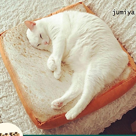Hình ảnh nệm nằm chó mèo hình lát bánh mì sanwich 45cm có khóa kéo