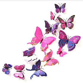 Bộ 12 bướm dán tường cánh kép và cánh đơn 3D nhiều mẫu lựa chọn