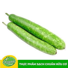 Chỉ Giao HCM - Bầu xanh hữu cơ Organicfood - 500g