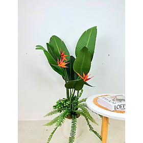 Mua Cây thiên điểu giả - cao 120cm - Cây giả  hoa lụa Decor trang trí nhà cửa
