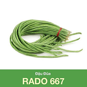 Mua Hạt Giống Đậu Đũa Cao Sản Hạt Đen Rạng Đông 20Gram