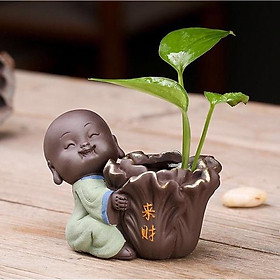 Chú tiểu trồng cải thảo vạn sự may mắn