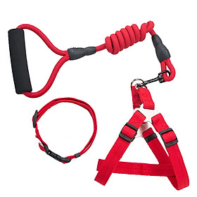 Hippie dog hyena rope dog chain dog ring dog belt p chain slippery cat rope cat chain pet cat dog supplies small dog dog collar strap leash 3 piece set red XS