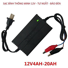Mua Sạc Ắc Quy Xe Máy 12V – Tự Ngắt Khi Đầy  Kéo Dài Tuổi Thọ Bình  ĐÈN ỐP TRẦN