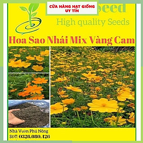 Mua Hạt Giống Hoa Sao Nhái F1 Mix Vàng Cam Loại Siêu Dễ Trồng  Hoa Nở Đẹp Tặng kèm Hướng Dẫn Trồng